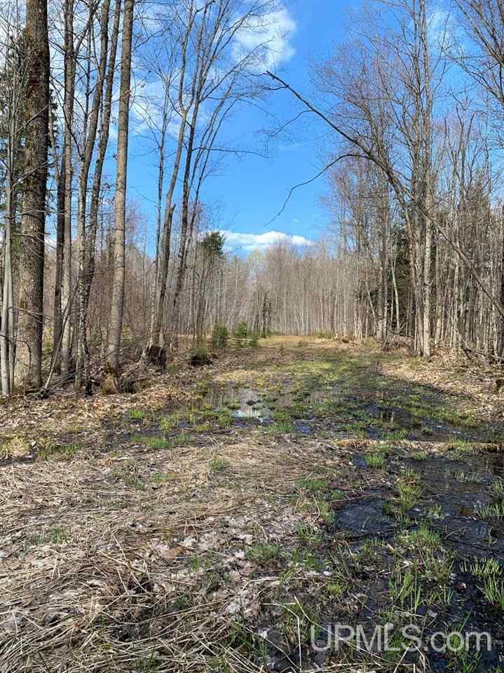 109 Orange Road, Unit 109 Michigamme, MI 49861 - Photo 4 of 13