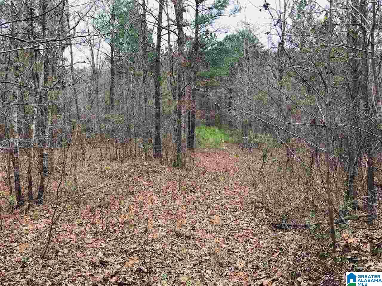 3111 Jackson Road, Unit 75 ACRES Pinson, AL 35126 - Photo 8 of 16