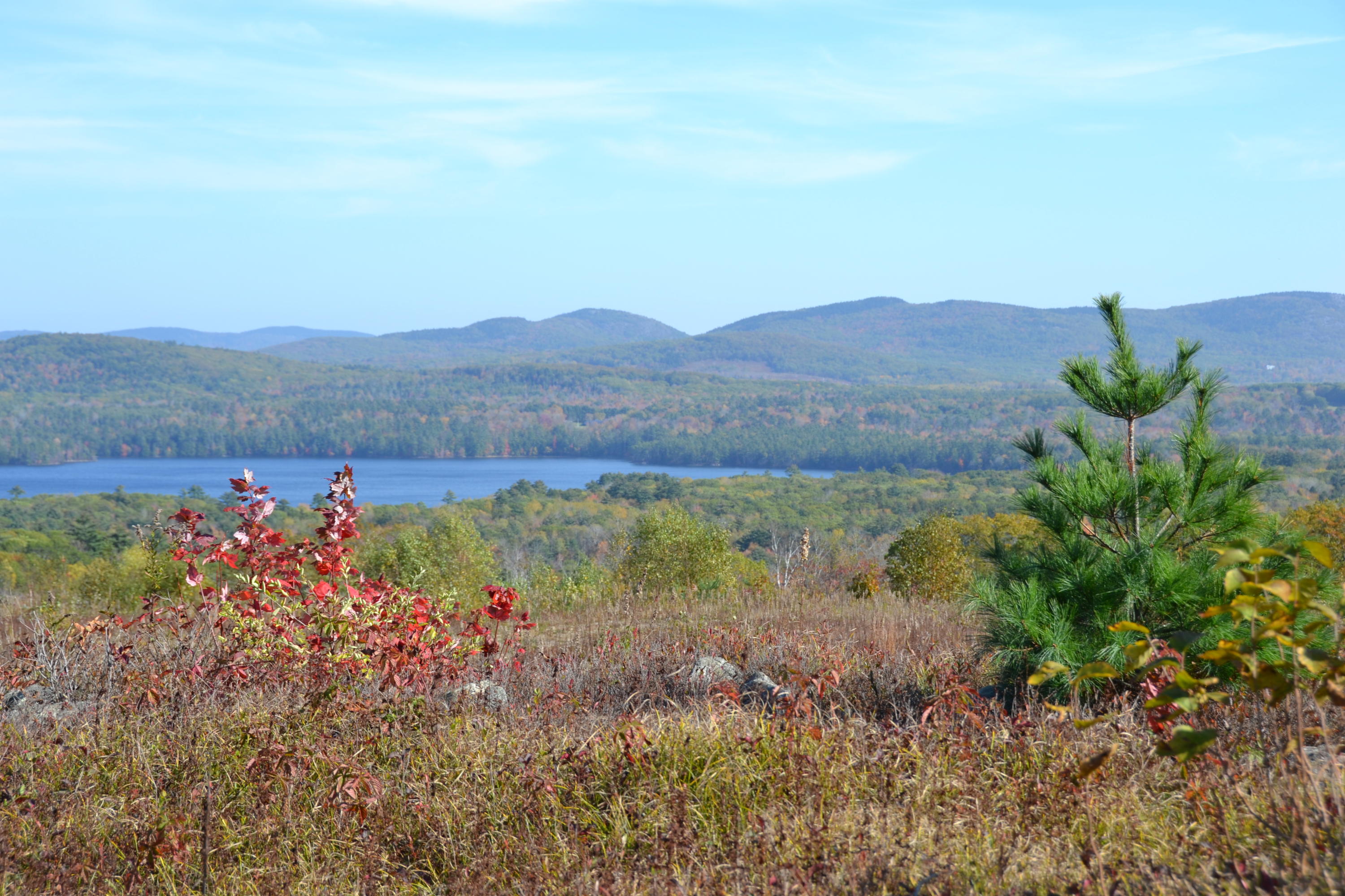 Lot #2 Barrett Hill Road Union, ME 04862 - Photo 5 of 5 DSC_0008