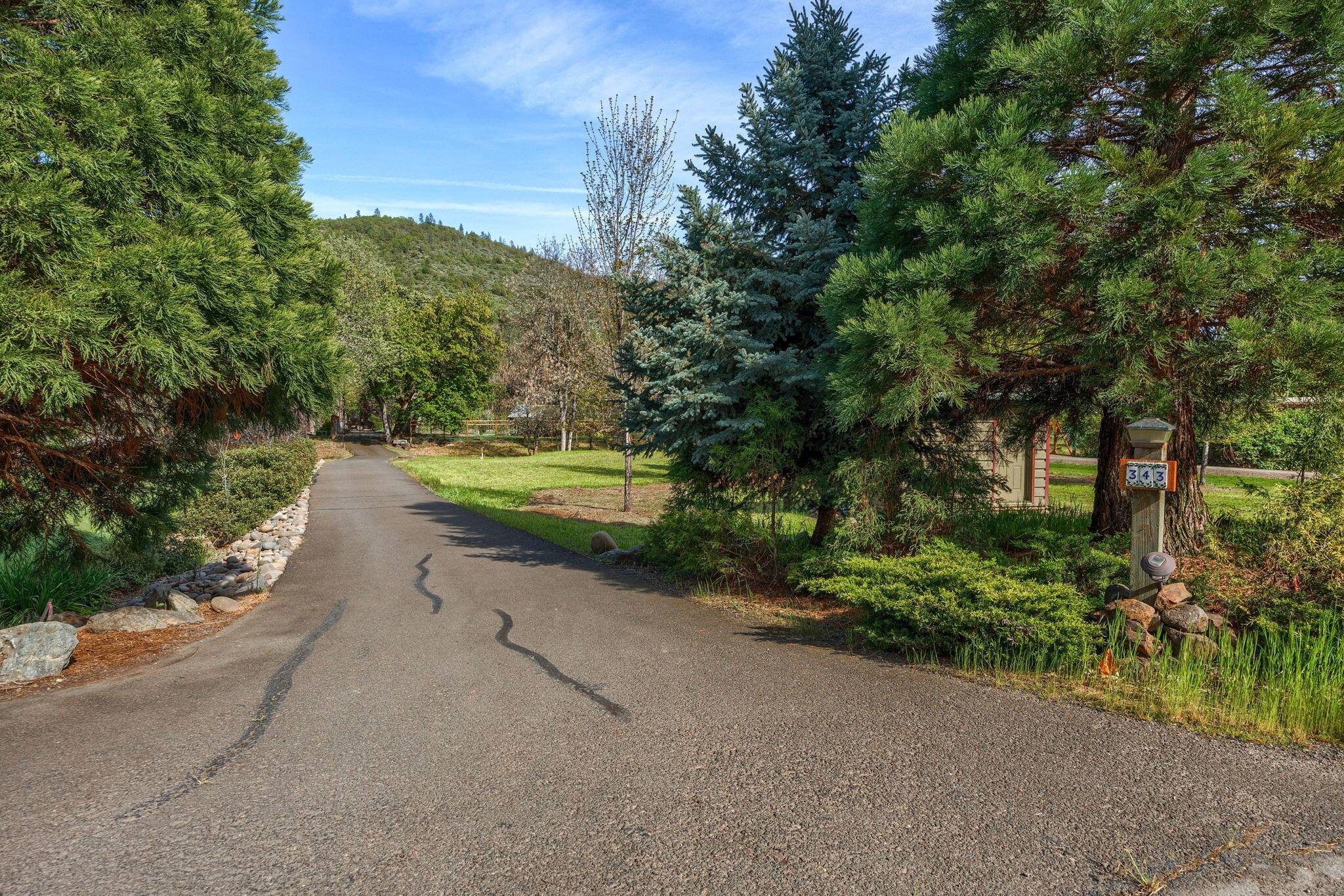 343 Rene Drive Shady Cove, OR 97539 - Photo 74 of 152 Driveway