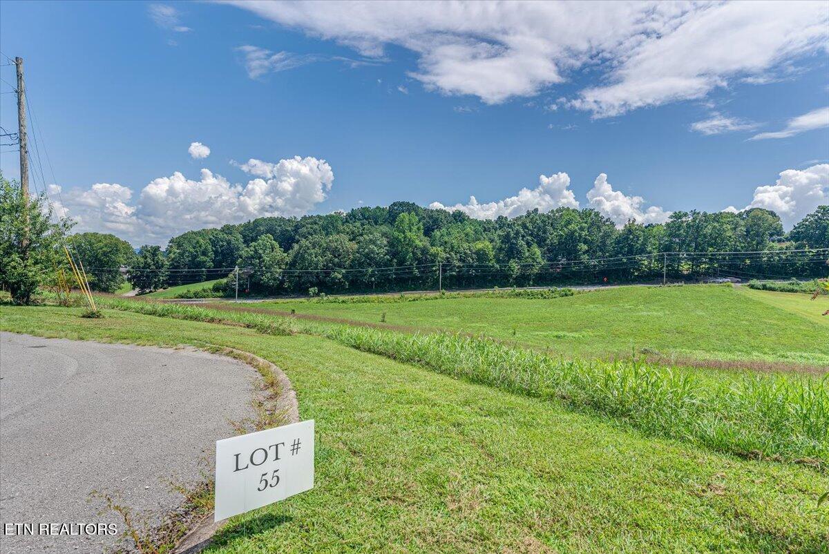213 Washita Lane Rutledge, TN 37861 - Photo 11 of 12 35-Lot 55 Ground A1
