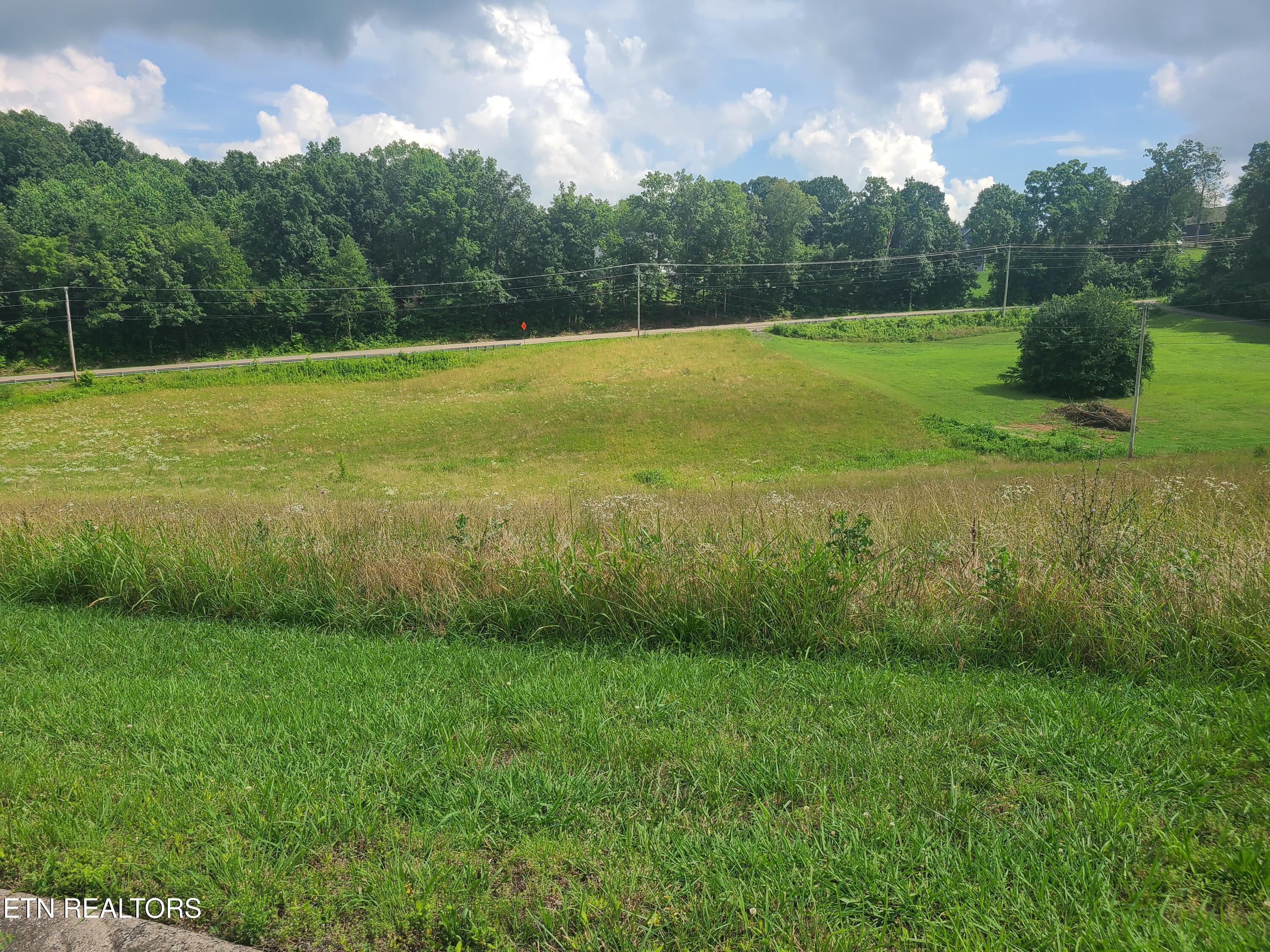 213 Washita Lane Rutledge, TN 37861 - Photo 10 of 12 20250616_160642