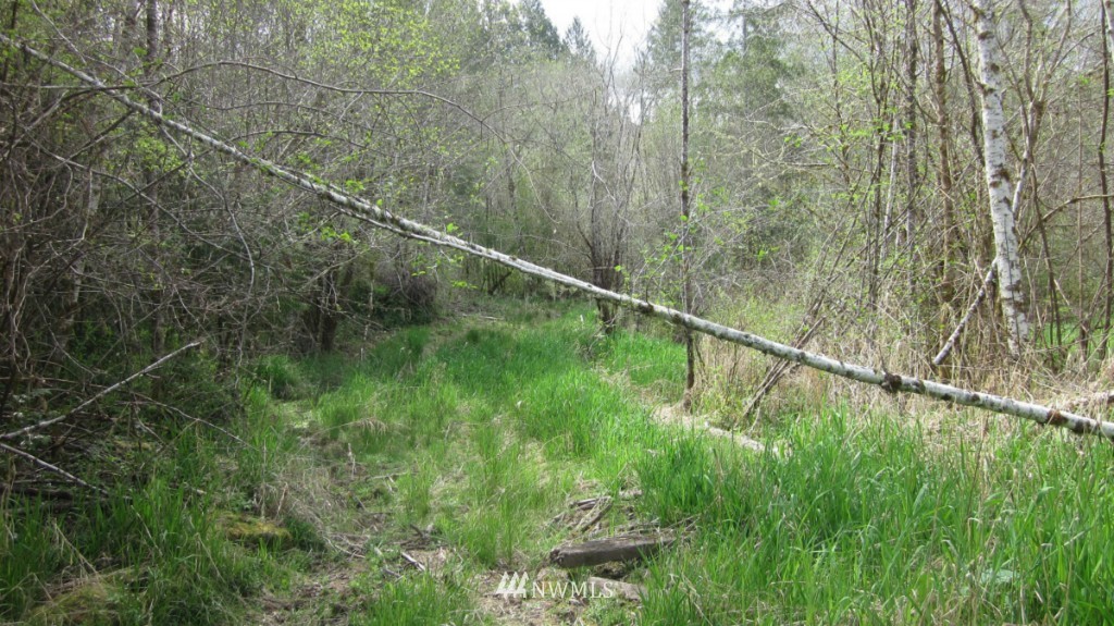 325 Brim Creek Road Vader, WA 98593 - Photo 11 of 17 Gallery Image 11