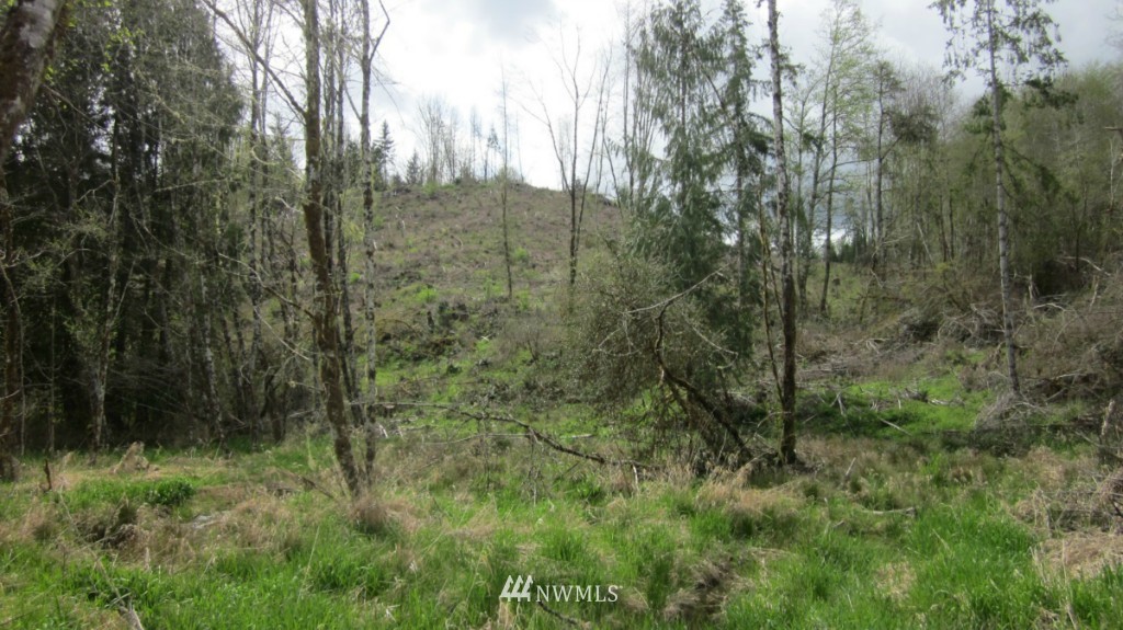 325 Brim Creek Road Vader, WA 98593 - Photo 13 of 17 Gallery Image 13