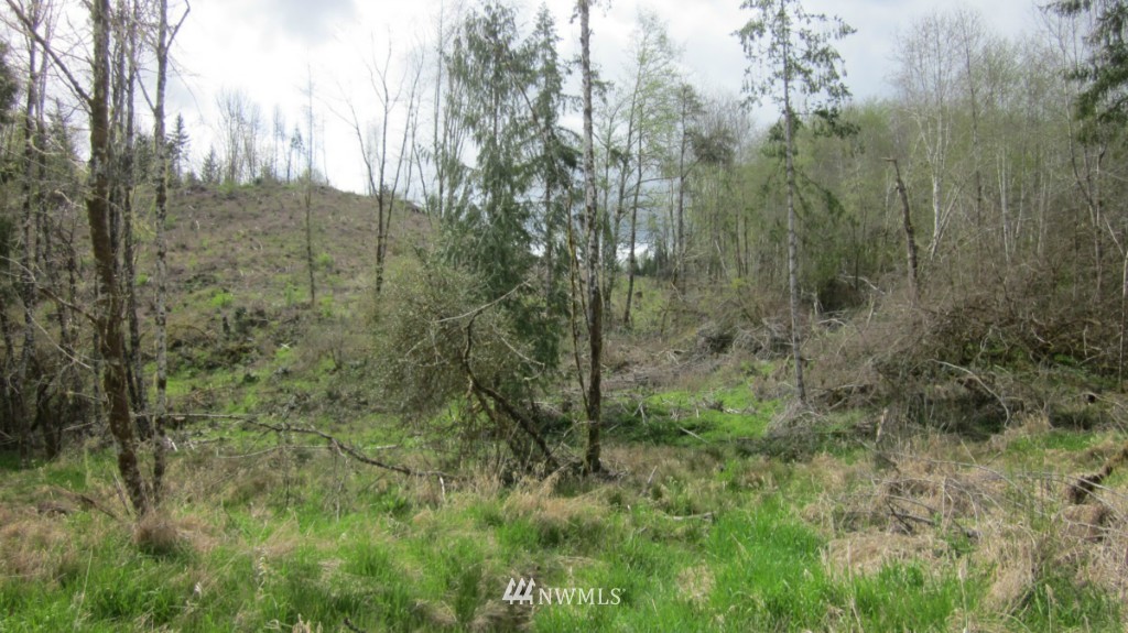 325 Brim Creek Road Vader, WA 98593 - Photo 14 of 17 Gallery Image 14
