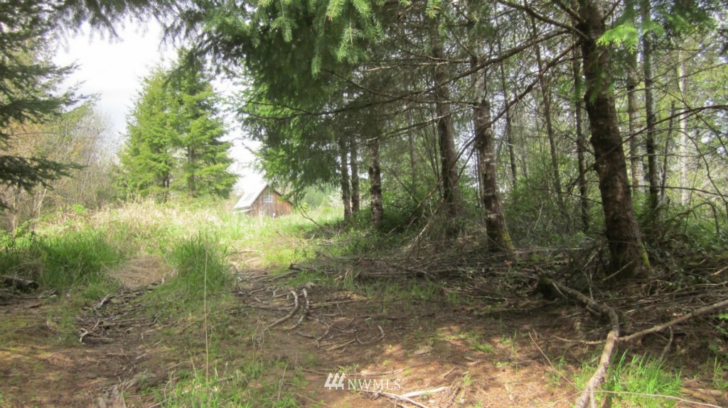 325 Brim Creek Road Vader, WA 98593 - Photo 15 of 17 Gallery Image 15
