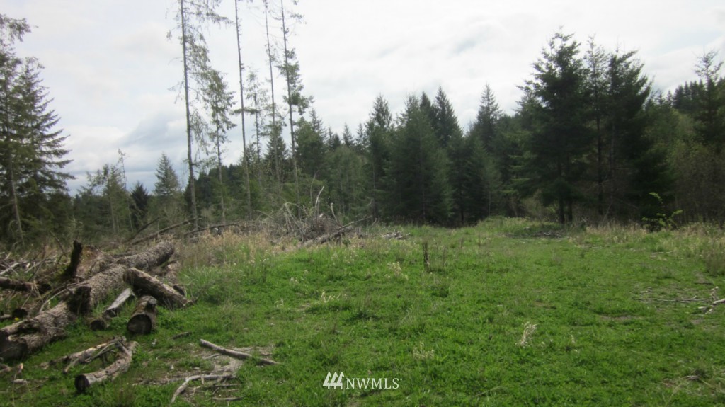 325 Brim Creek Road Vader, WA 98593 - Photo 17 of 17 Gallery Image 17