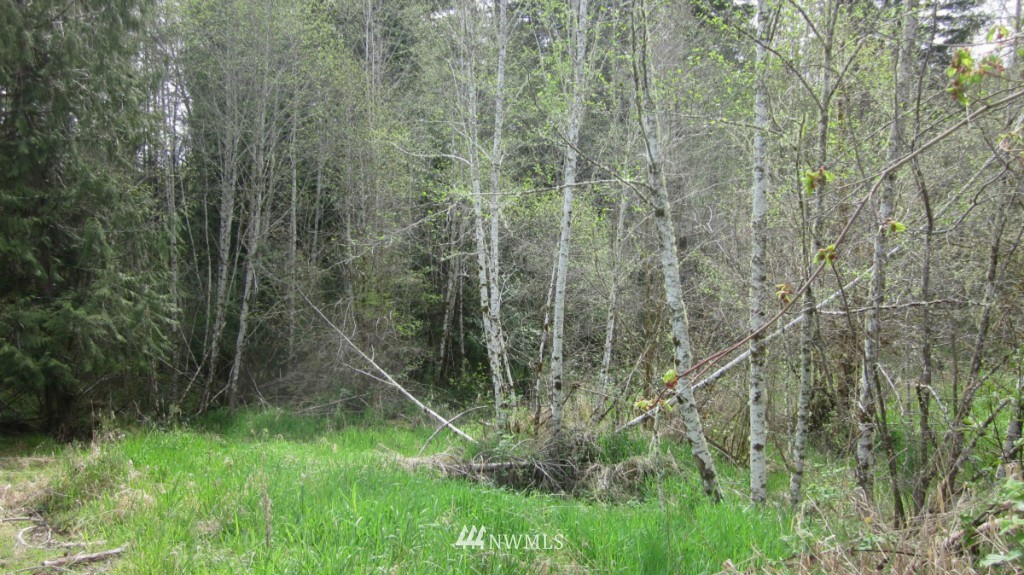 325 Brim Creek Road Vader, WA 98593 - Photo 10 of 17 Gallery Image 10
