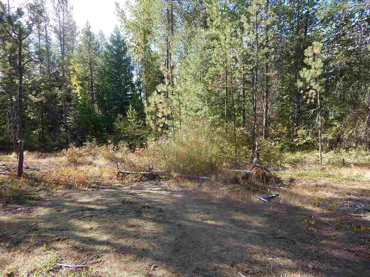 833 Sky Ranch Road Newport, WA 99156 - Photo 33 of 48 Gallery Image 33