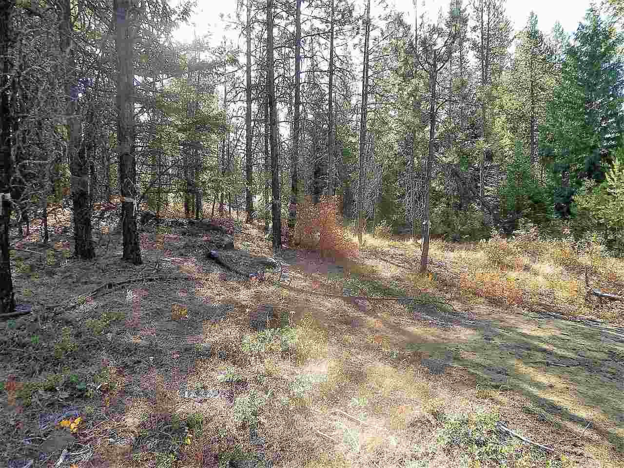 833 Sky Ranch Road Newport, WA 99156 - Photo 34 of 48 Gallery Image 34