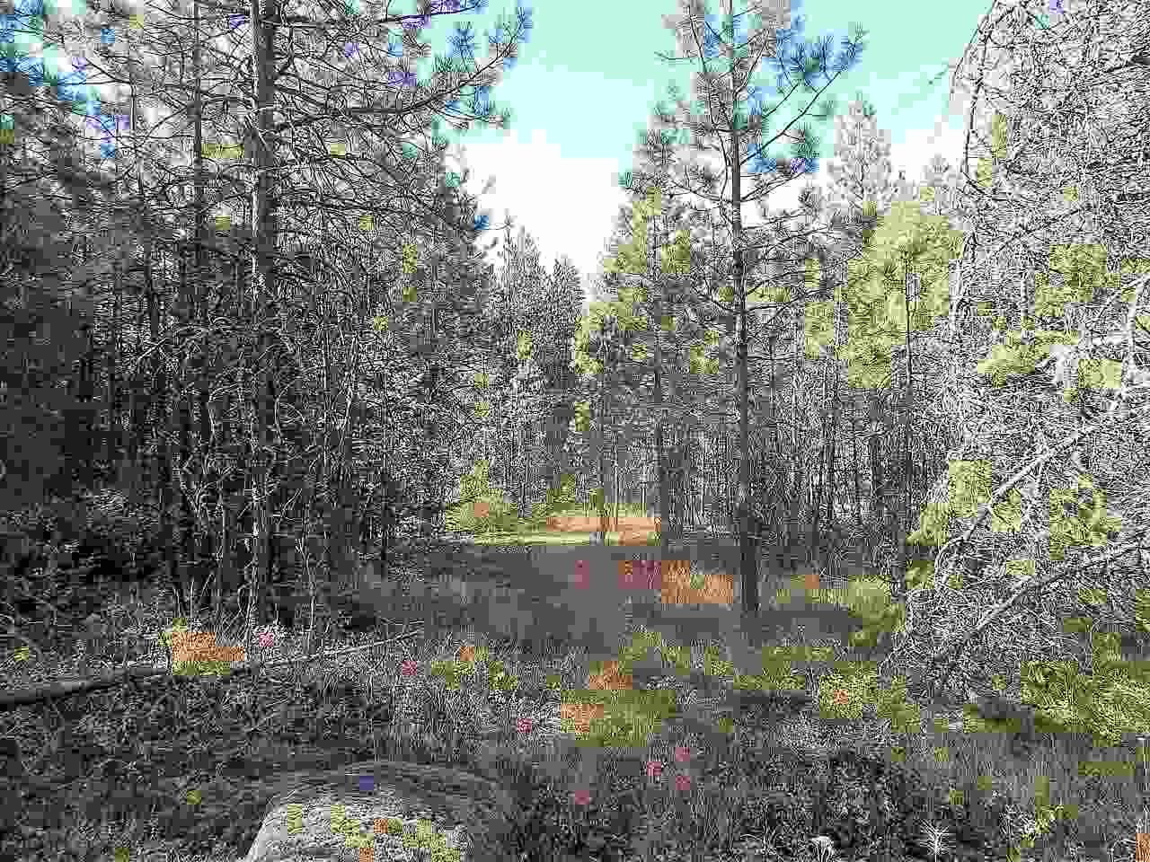 833 Sky Ranch Road Newport, WA 99156 - Photo 35 of 48 Gallery Image 35