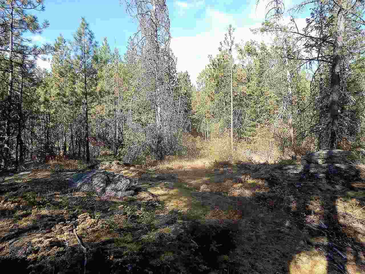 833 Sky Ranch Road Newport, WA 99156 - Photo 36 of 48 Gallery Image 36
