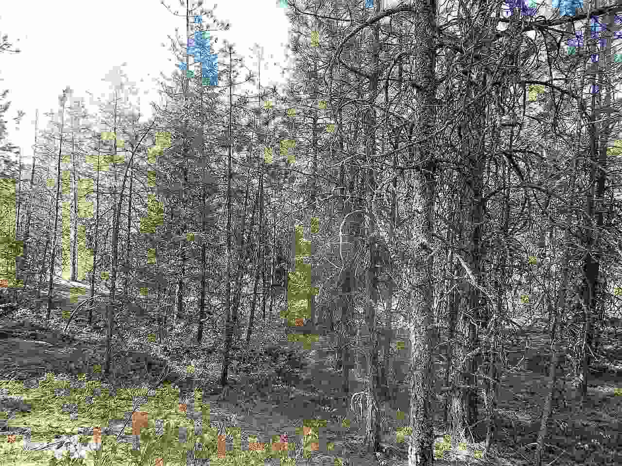 833 Sky Ranch Road Newport, WA 99156 - Photo 37 of 48 Gallery Image 37