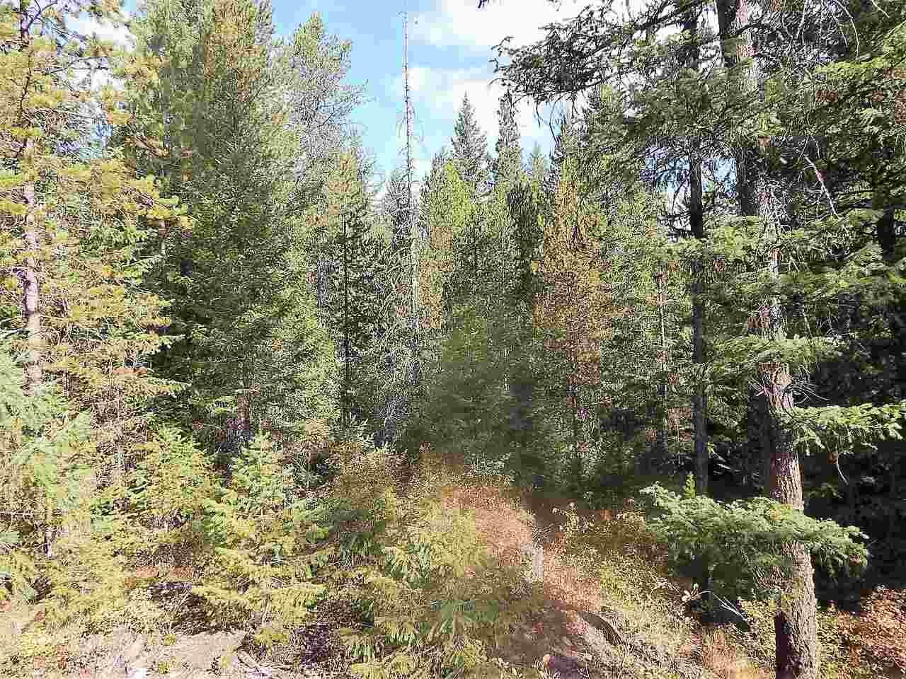833 Sky Ranch Road Newport, WA 99156 - Photo 39 of 48 Gallery Image 39