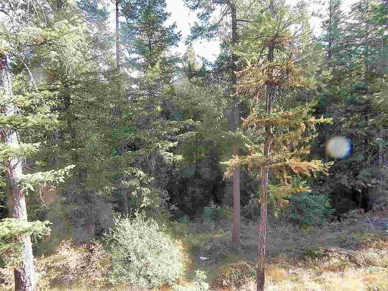 833 Sky Ranch Road Newport, WA 99156 - Photo 40 of 48 Gallery Image 40