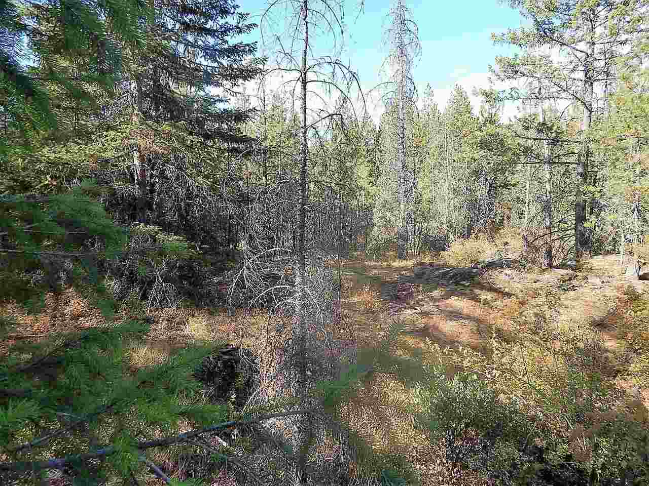 833 Sky Ranch Road Newport, WA 99156 - Photo 42 of 48 Gallery Image 42