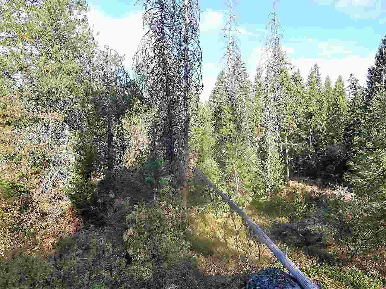 833 Sky Ranch Road Newport, WA 99156 - Photo 43 of 48 Gallery Image 43