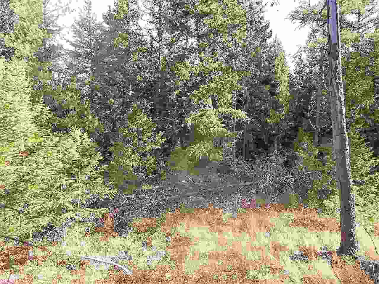 833 Sky Ranch Road Newport, WA 99156 - Photo 44 of 48 Gallery Image 44
