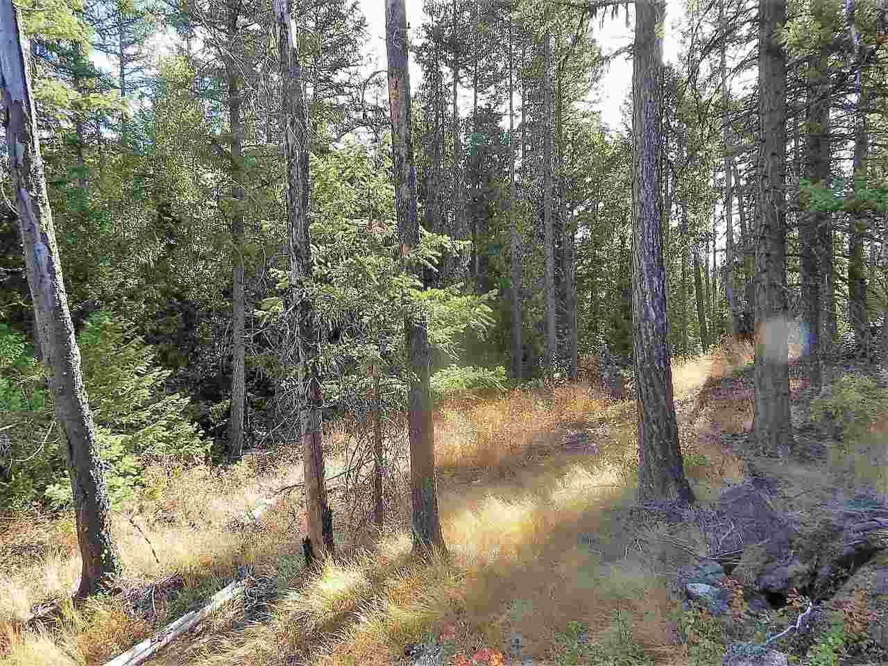 833 Sky Ranch Road Newport, WA 99156 - Photo 45 of 48 Gallery Image 45