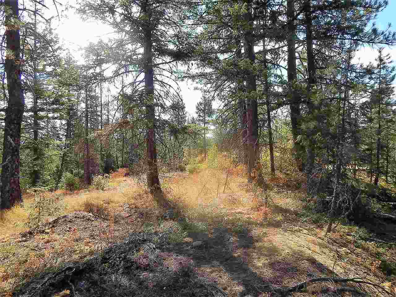 833 Sky Ranch Road Newport, WA 99156 - Photo 46 of 48 Gallery Image 46