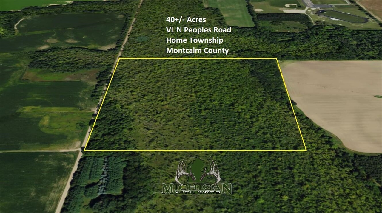 Peoples Road Blanchard, MI 49310 - Photo 1 of 26