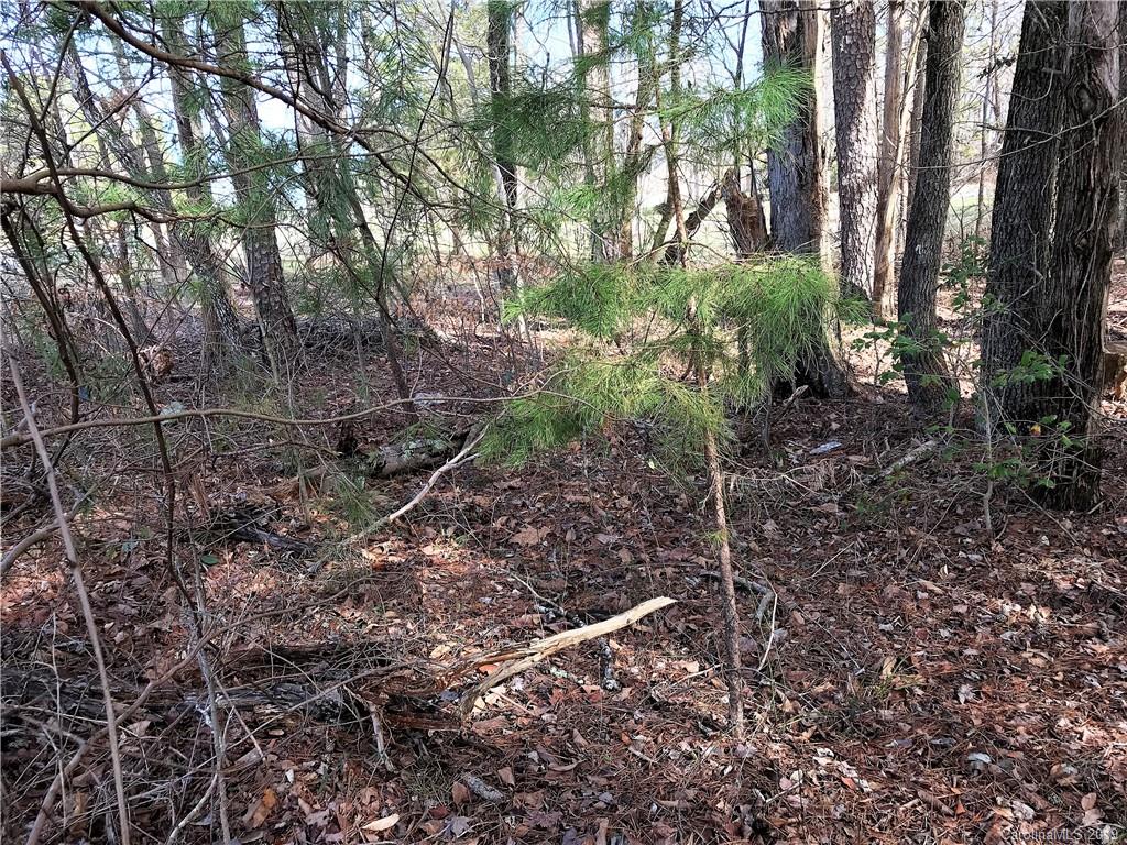 282 Upper Stanley Road, Unit 7 Stanley, NC 28164 - Photo 16 of 36 Gallery Image 16