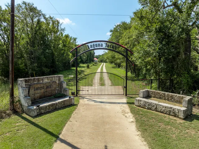 a garden view with a seating space
