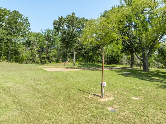 a view of a park with large trees