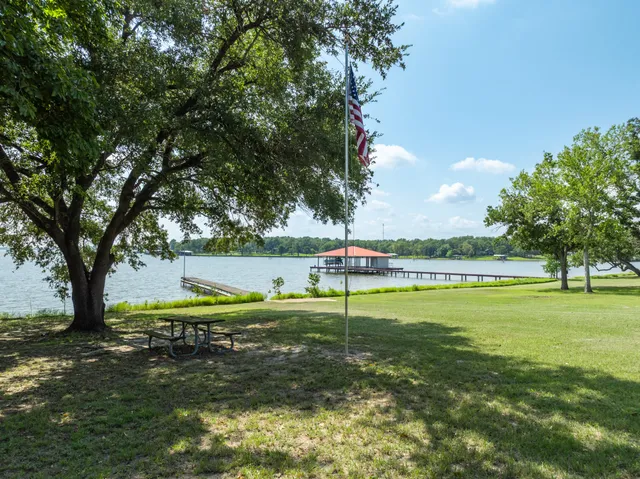a view of a yard with a tree