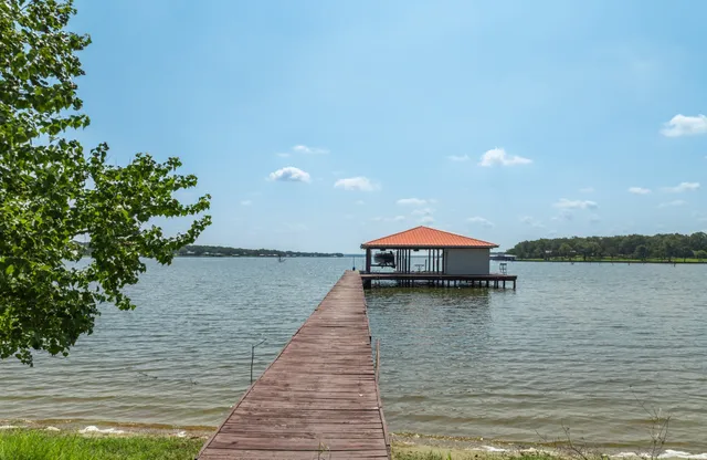 a close up of a flower in a garden