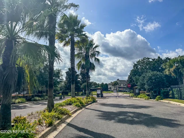 a view of a park with palm trees