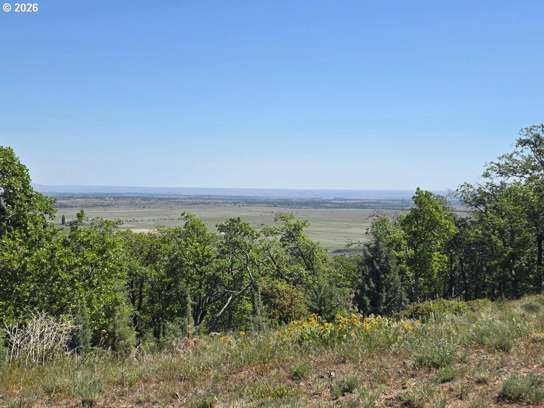 78902 Walters Road Maupin, OR 97037 - Photo 6 of 46 Gallery Image 6