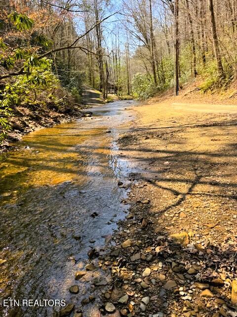 7.68-ac Ellis Creek Road Reliance, TN 37369 - Photo 12 of 18 Ellis Creek Creek