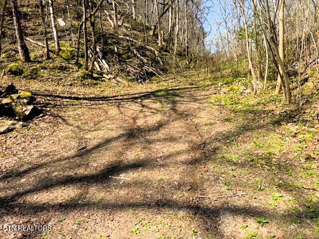 7.68-ac Ellis Creek Road Reliance, TN 37369 - Photo 13 of 18 Ellis Creek driveway entrance