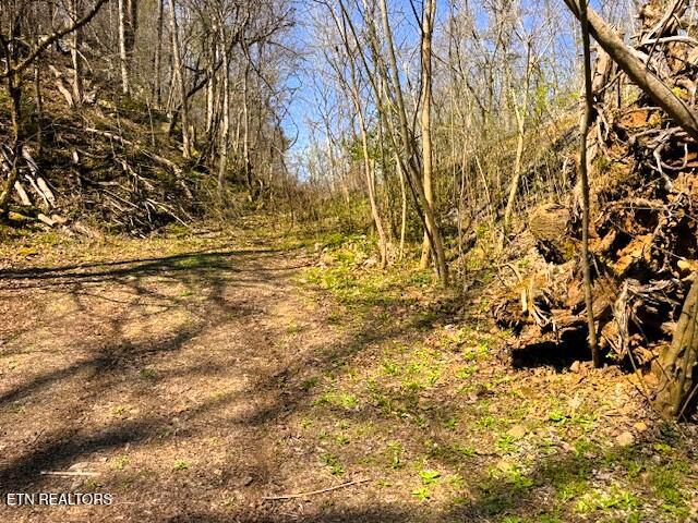 7.68-ac Ellis Creek Road Reliance, TN 37369 - Photo 14 of 18 Ellis Creek property