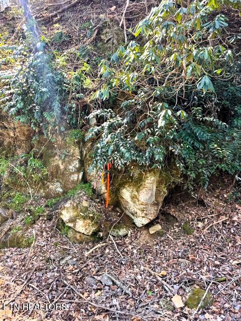 7.68-ac Ellis Creek Road Reliance, TN 37369 - Photo 16 of 18 Ellis Creek corner