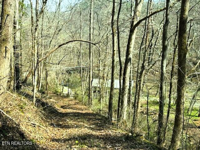 7.68-ac Ellis Creek Road Reliance, TN 37369 - Photo 17 of 18 Ellis Creek views