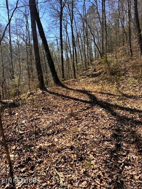 7.68-ac Ellis Creek Road Reliance, TN 37369 - Photo 18 of 18 Ellis Creek Driveway 2