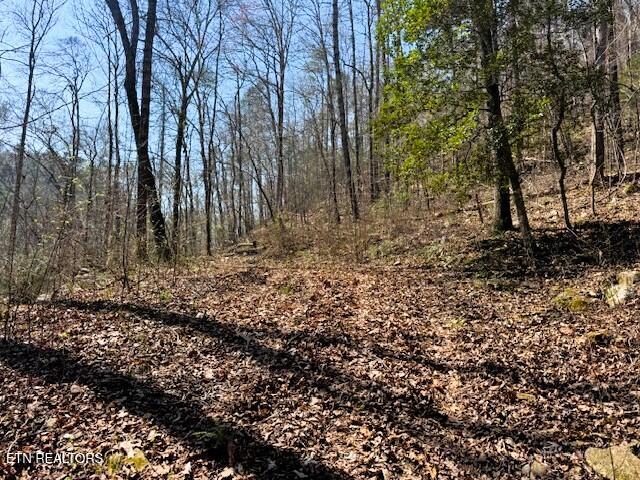 7.68-ac Ellis Creek Road Reliance, TN 37369 - Photo 5 of 18 Ellis Creek Front