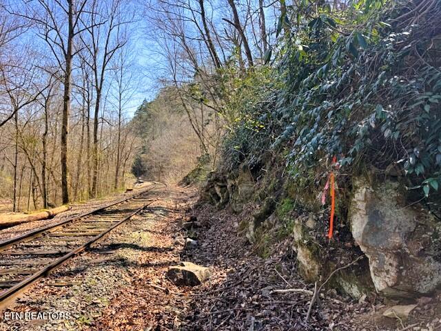 7.68-ac Ellis Creek Road Reliance, TN 37369 - Photo 10 of 18 Ellis Creek property line w rail