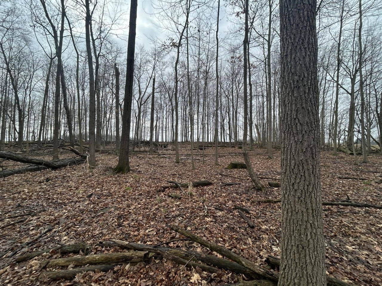 0 Stearns Road Somerset Center, MI 49282 - Photo 4 of 16