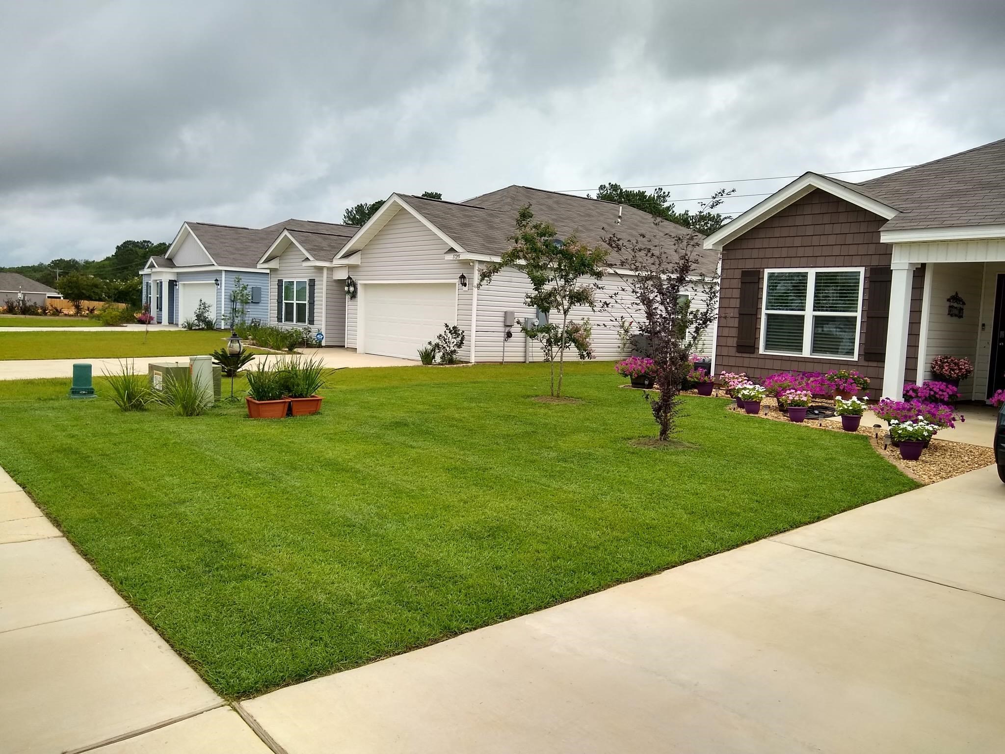 17305 Lewis Smith Drive Foley, AL 36535 - Photo 16 of 17 Yard