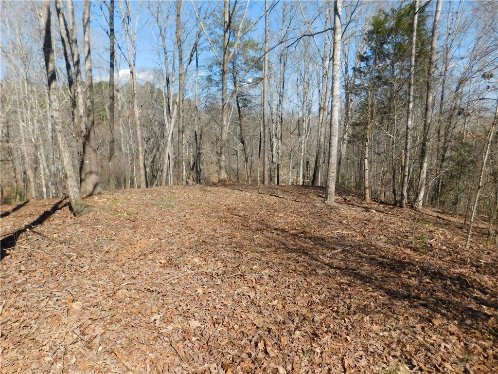 327 Cliffs S Parkway Salem, SC 29676 - Photo 1 of 6