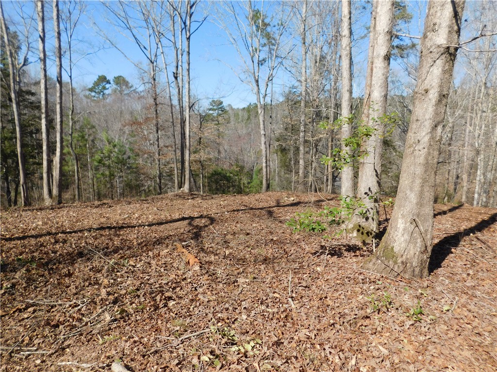 327 Cliffs S Parkway Salem, SC 29676 - Photo 2 of 6
