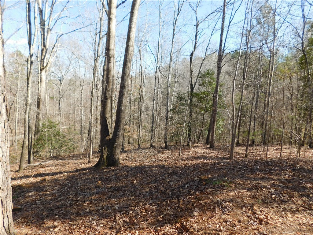 327 Cliffs S Parkway Salem, SC 29676 - Photo 3 of 6