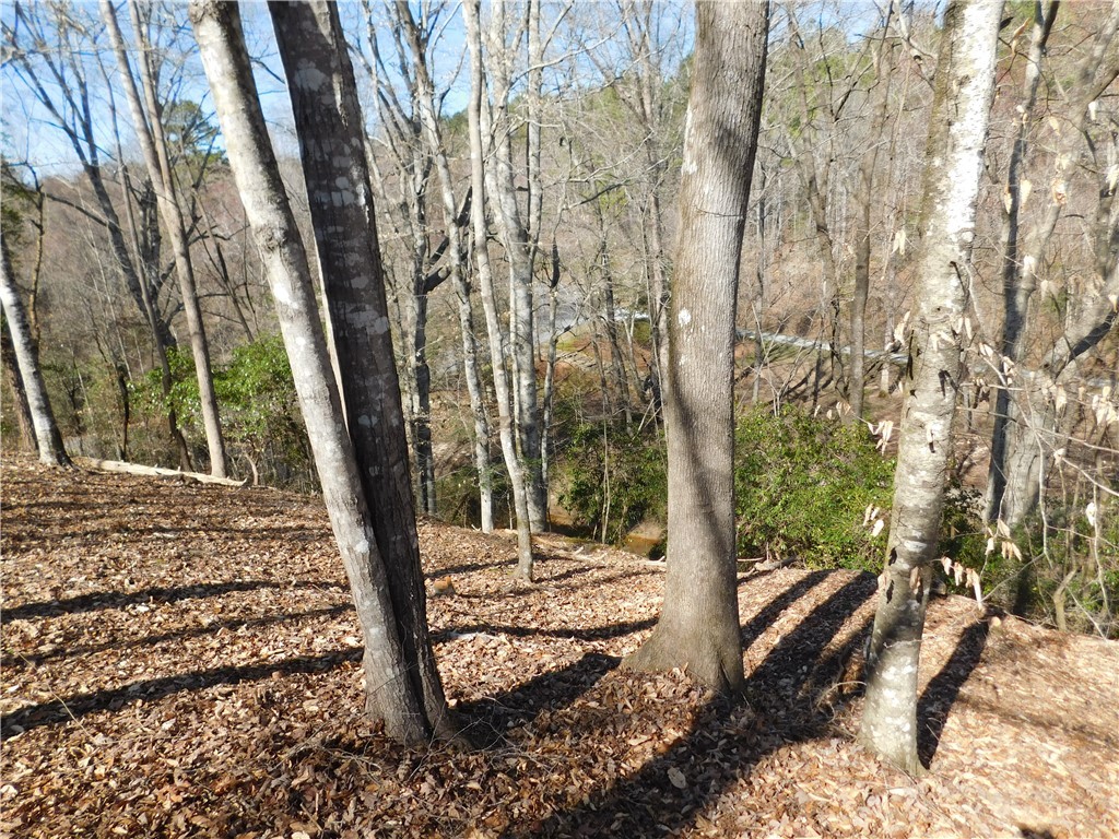 327 Cliffs S Parkway Salem, SC 29676 - Photo 4 of 6