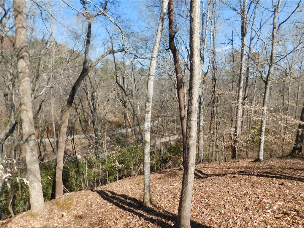 327 Cliffs S Parkway Salem, SC 29676 - Photo 5 of 6