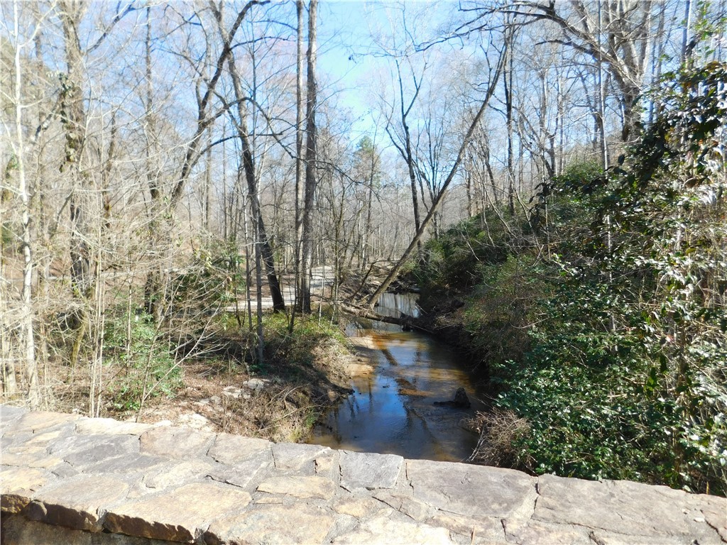 327 Cliffs S Parkway Salem, SC 29676 - Photo 6 of 6