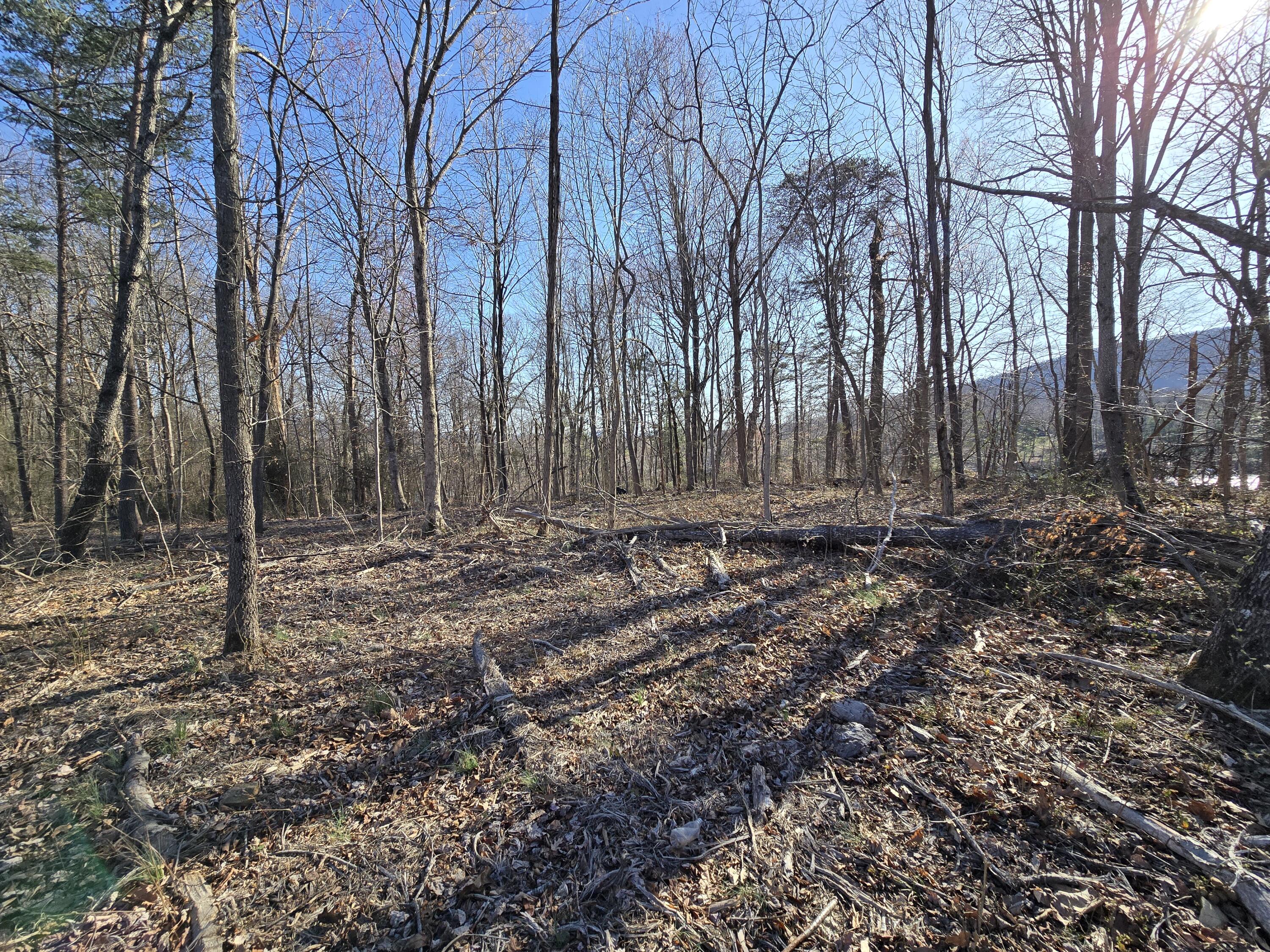 Lot 2 Coltons Mill Road Bedford, VA 24523 - Photo 2 of 11 Property is ready for your dream home