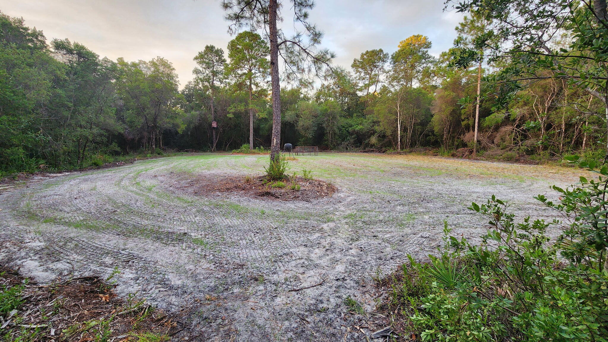 Tbd Sowell Drive Crestview, FL 32539 - Photo 12 of 13 a backyard of a house with lots of green space